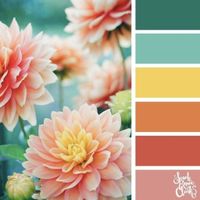 Boda en primavera 😁 - 3