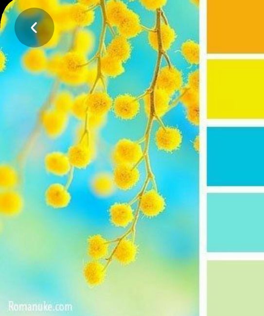 Colores: paleta de colores con amarillo 4