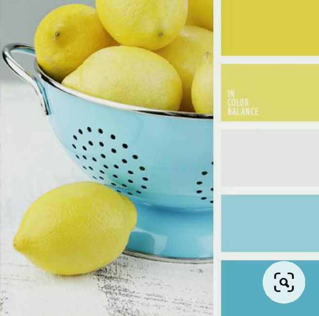 Colores: paleta de colores con amarillo 6