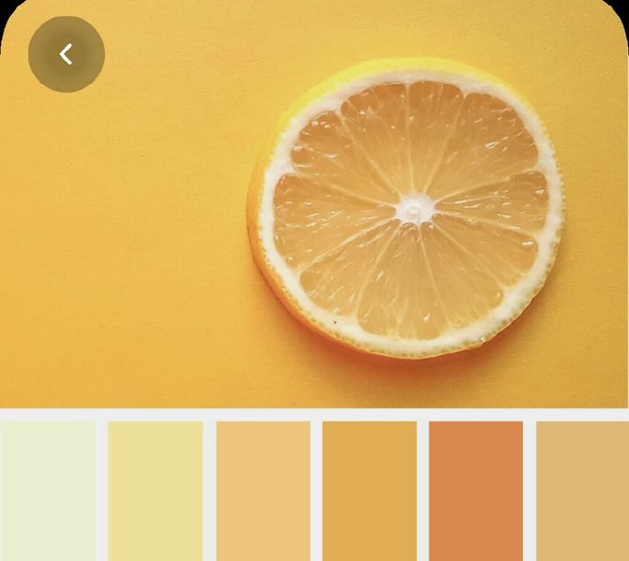 Colores: paleta de colores con amarillo 7