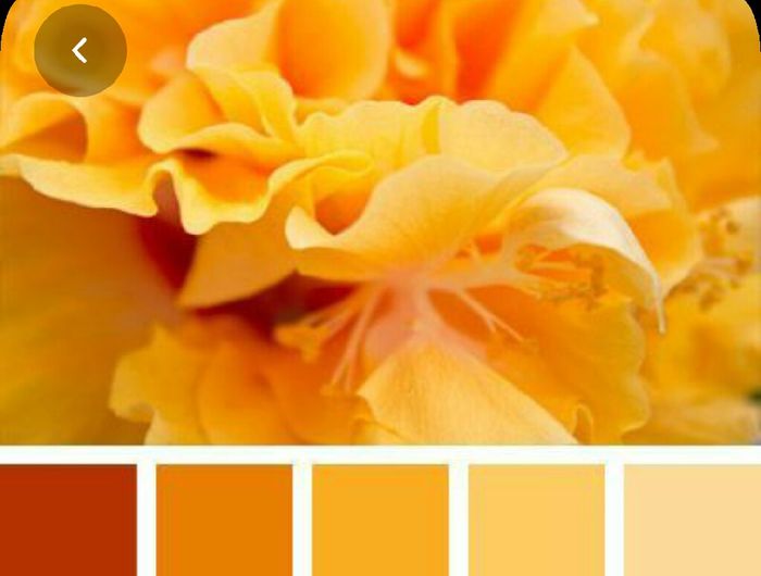 Colores: paleta de colores con amarillo 8