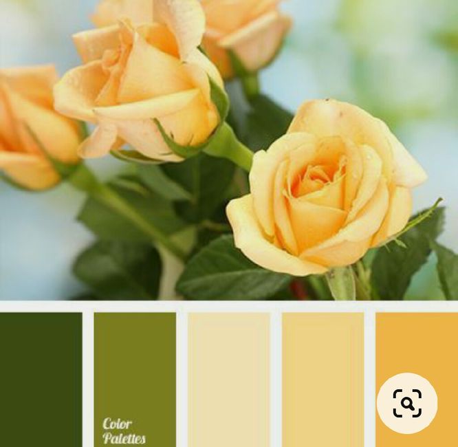 Colores: paleta de colores con amarillo 10