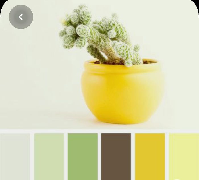 Colores: paleta de colores con amarillo 12