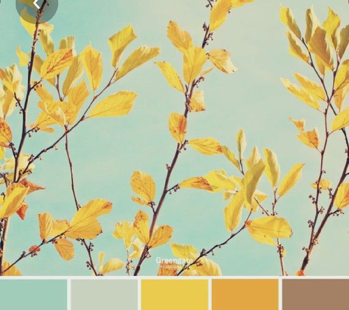 Colores: paleta de colores con amarillo 13