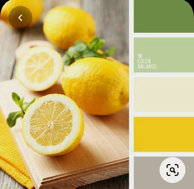 Colores: paleta de colores con amarillo 14