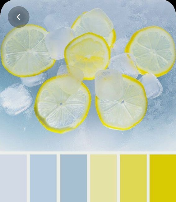 Colores: paleta de colores con amarillo 15