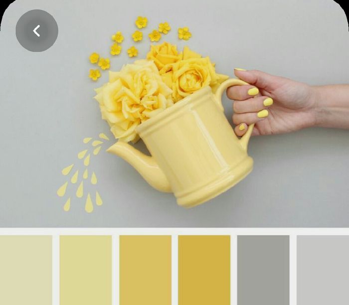 Colores: paleta de colores con amarillo 16