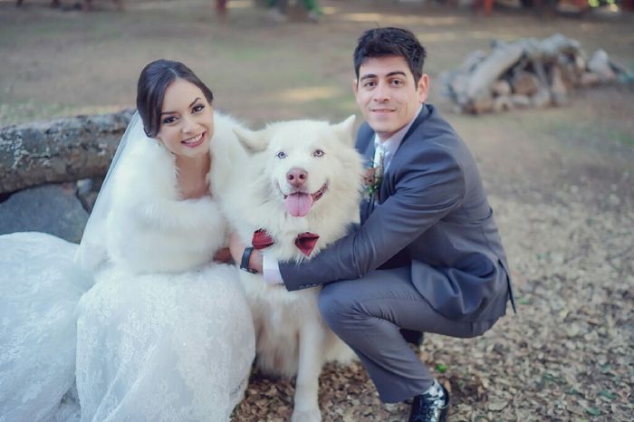 Mi boda en 3 imágenes 35