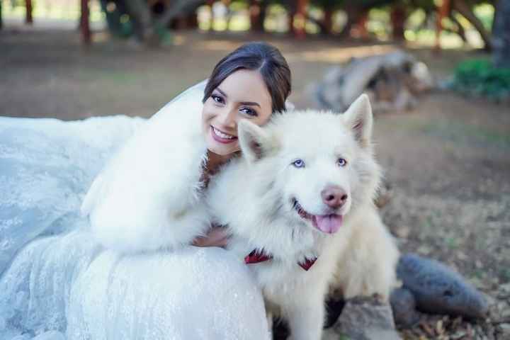 Foto por Blake Fotografía