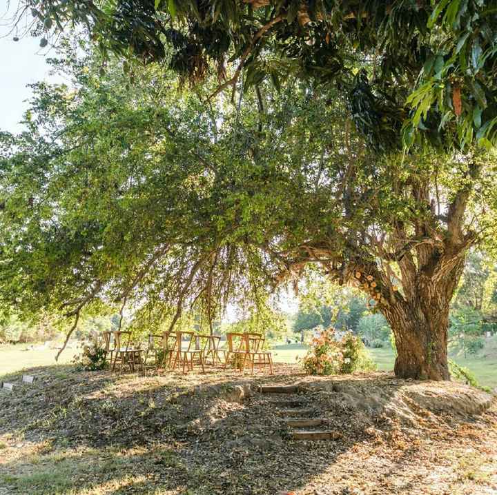 Ideas de bodas íntimas en jardín - 1