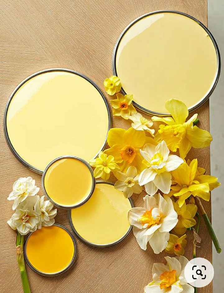 Colores: paleta de colores con amarillo - 1