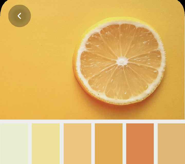 Colores: paleta de colores con amarillo - 7