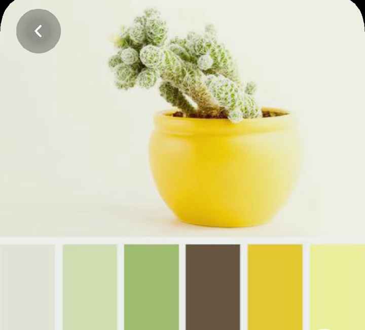 Colores: paleta de colores con amarillo - 11