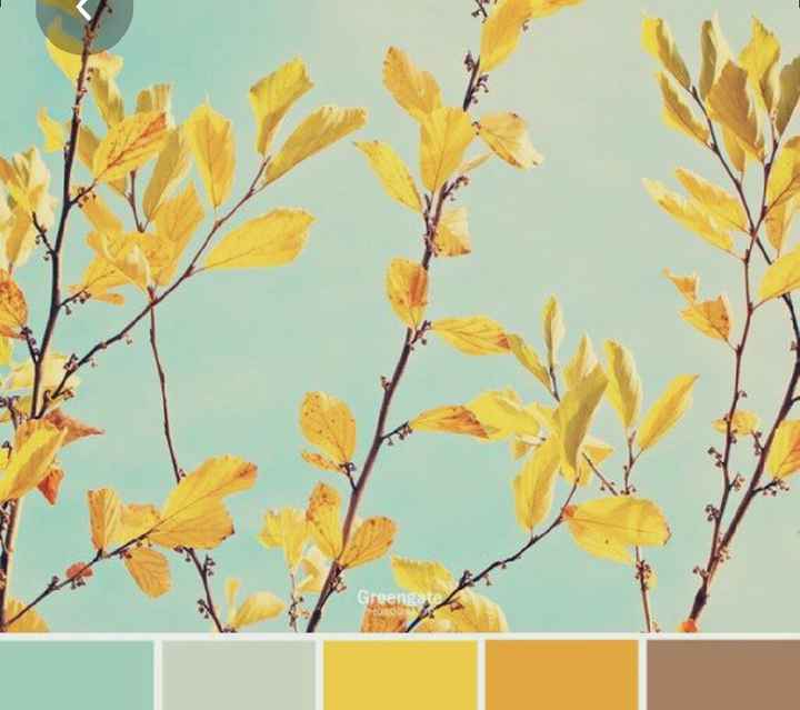 Colores: paleta de colores con amarillo - 12