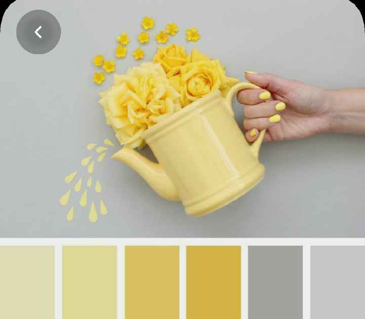 Colores: paleta de colores con amarillo - 16