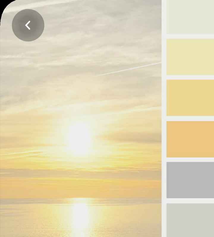 Colores: paleta de colores con amarillo - 17