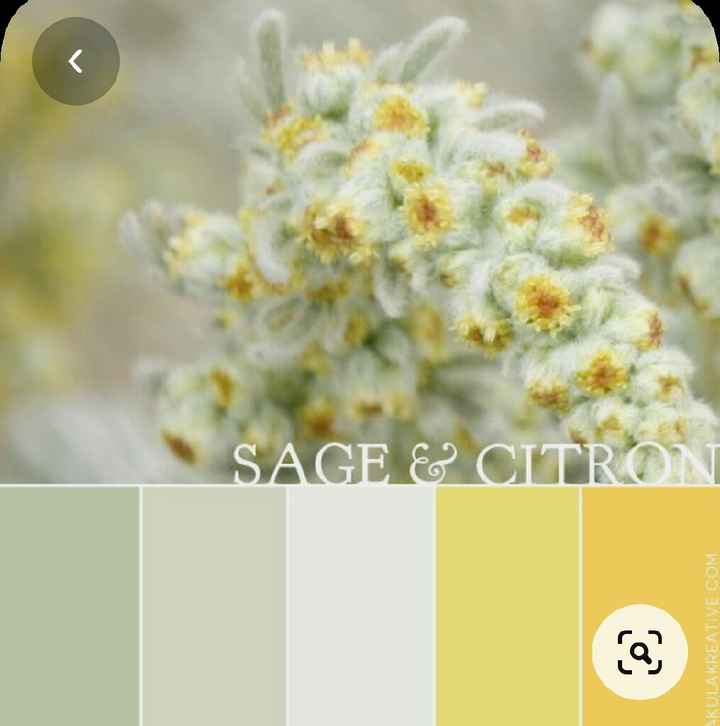 Colores: paleta de colores con amarillo - 18