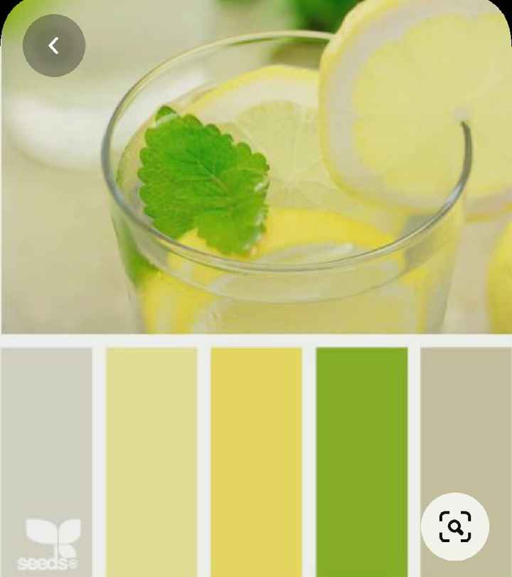 Colores: paleta de colores con amarillo - 19