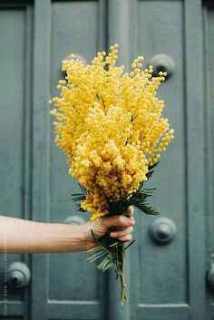 Colores: ramos de novia en amarillo - 2