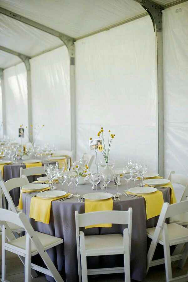 Colores: seevill amarillas - 6