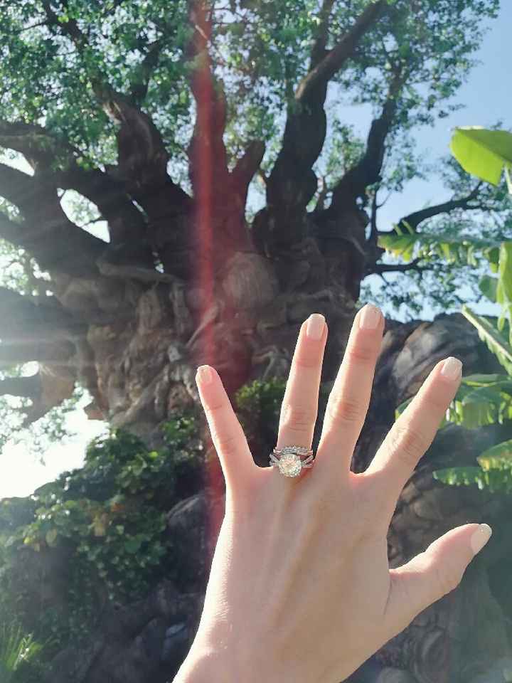 Extrañan el anillo? - 1