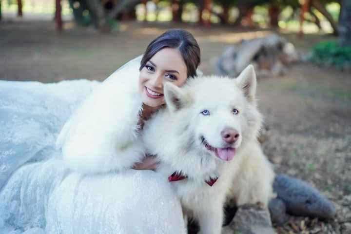 Liss reta a los novios de la comu a subir una foto de los perrunos que los acompañaran en su gran dí