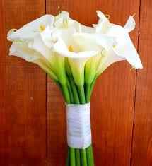 Ramo de alcatraces - 1