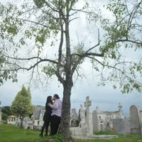 Cementerio 10