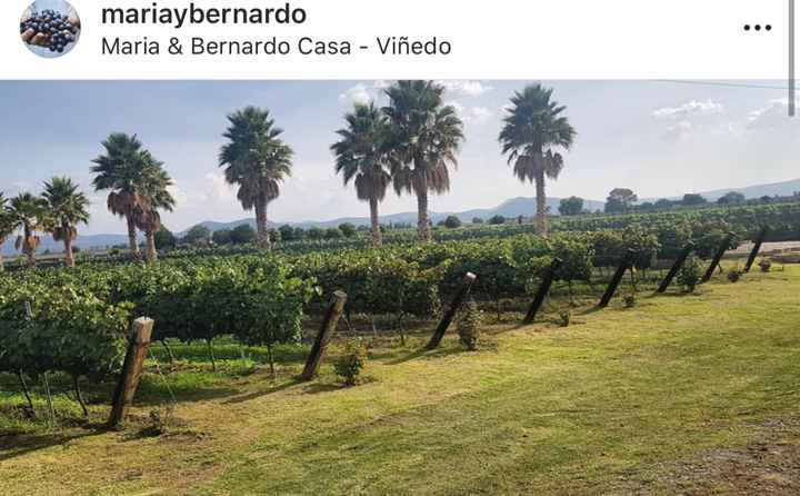 Ayuda ¡idea de boda simbólica! - 1