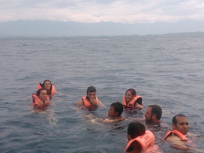 con las tortugas