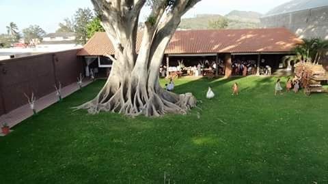 Kit de emergencia para el baño (avance) - 1