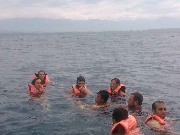 con las tortugas