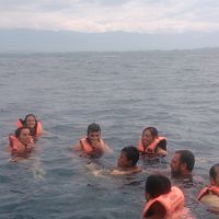 con las tortugas