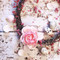 Anahi
