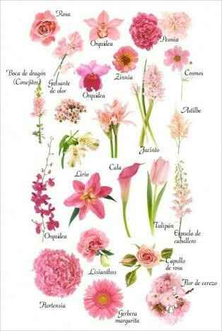  Centros de mesa ayudando al planeta - 1