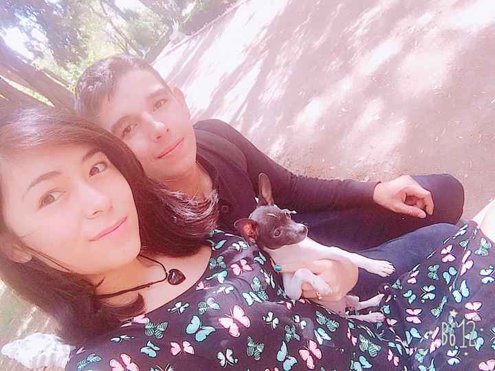 Mascotas en pareja 🐶🐭🐰 - 1