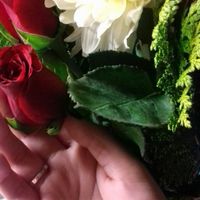 ¿Hace cuánto se comprometieron? - 1