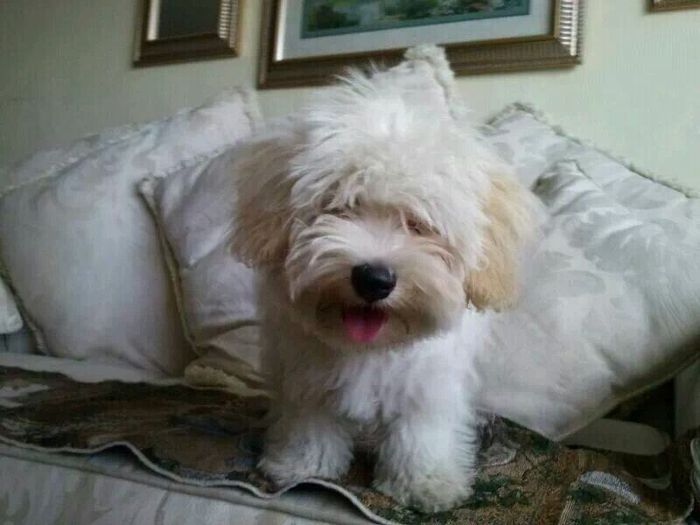 Nuestros gathijos! - 3