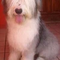 Nuestros gathijos! - 2