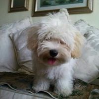 Nuestros gathijos! - 3