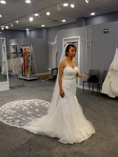 Prueba de vestido - 2