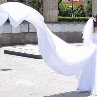 Alguien sabe de un velo así?🤷🏻‍♀️ - 1