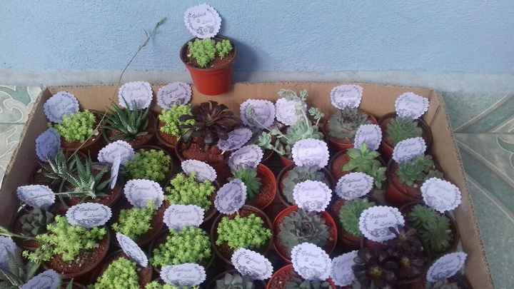 Mi gran día ha llegado - 3