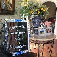Mi dulce despedida de soltera - 1