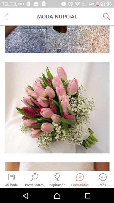 Ramos 💐 de tulipanes 🌷 - 2