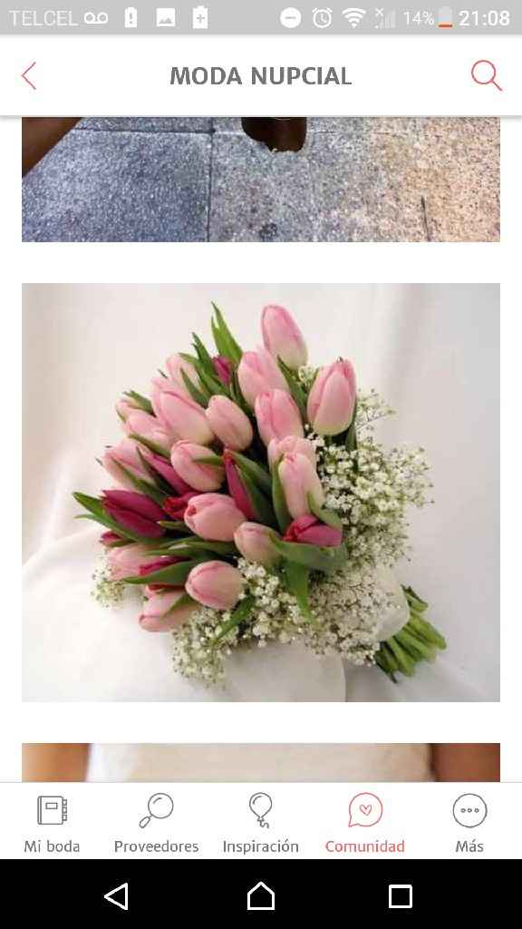Ramos 💐 de tulipanes 🌷 - 2