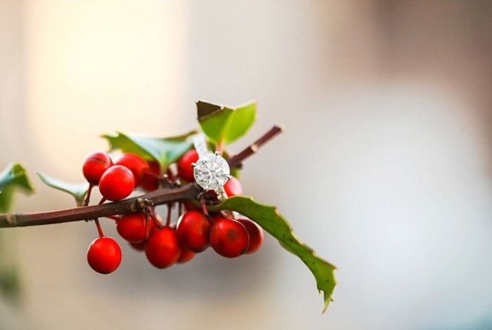 En una rama de muérdago