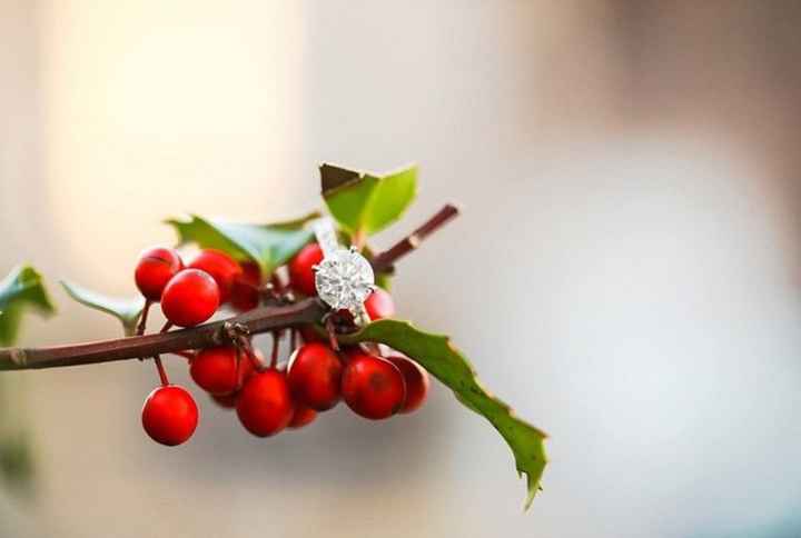 En una rama de muérdago