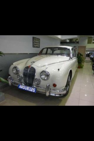 Tipo de auto - 1