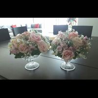 Help!!!! Flores! - 1